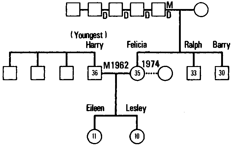 Figure 10.1 Initial Geneogram of the Keats Family