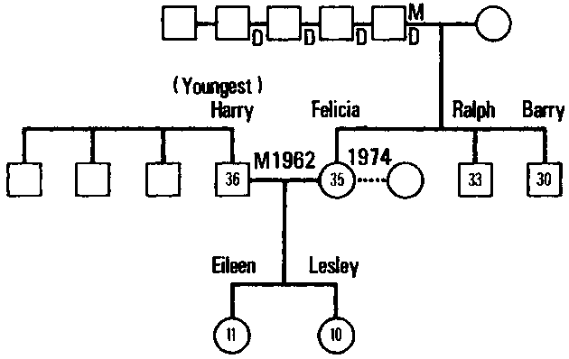 Figure 10.1 Initial Geneogram of the Keats Family