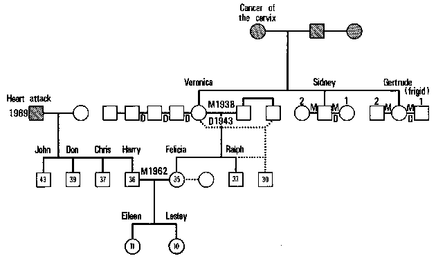 Figure 10.2 Final Geneogram of the Keats family