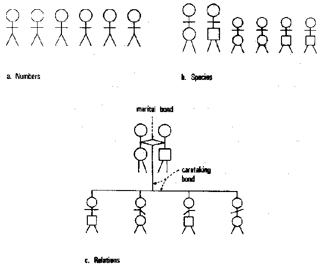 Figure 2.4 The Randolph Family: a Nuclear Family System