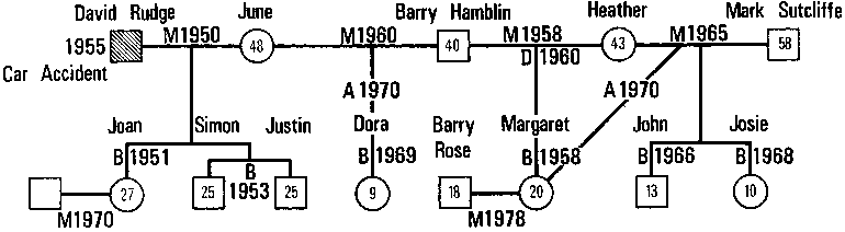 Figure 4.4 A Complex Reconstituted Family