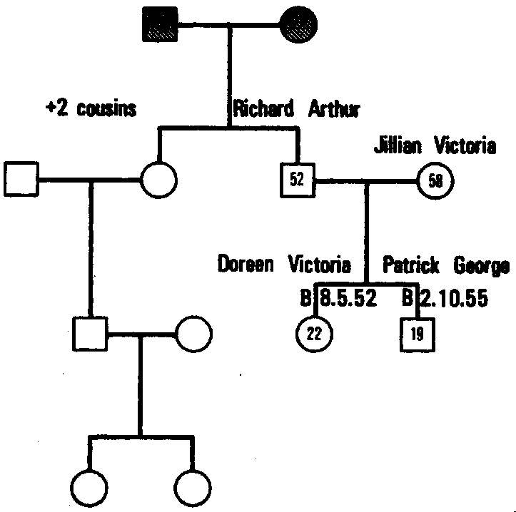 Figure 4.6 The Process of Geneogram Construction, II
