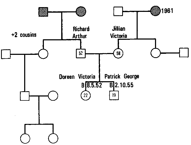 Figure 4.7 The Process of Geneogram Construction, III