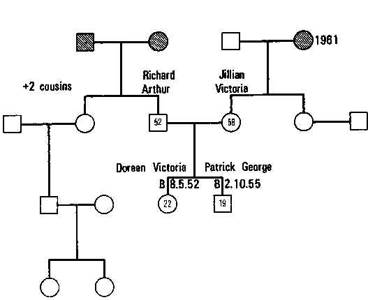 Figure 4.7 The Process of Geneogram Construction, III