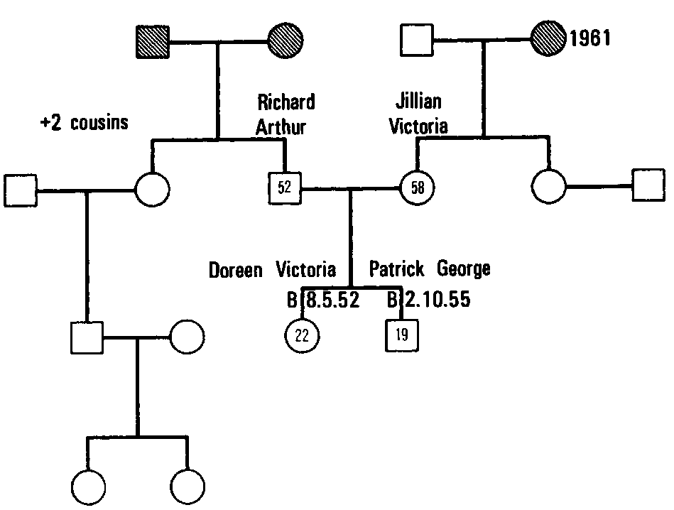 Figure 4.7 The Process of Geneogram Construction, III