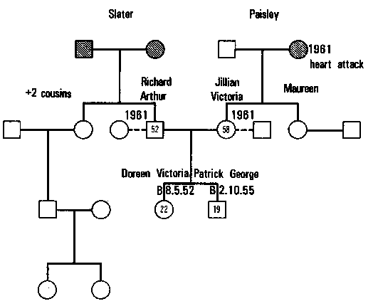 Figure 4.8 The Process of Geneogram Construction, IV