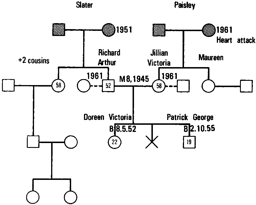 Figure 4.9 The Process of Geneogram Construction, V