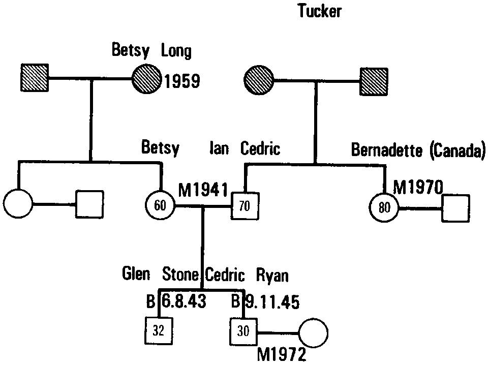 Figure 8.1 Geneogram of the Tucker Family