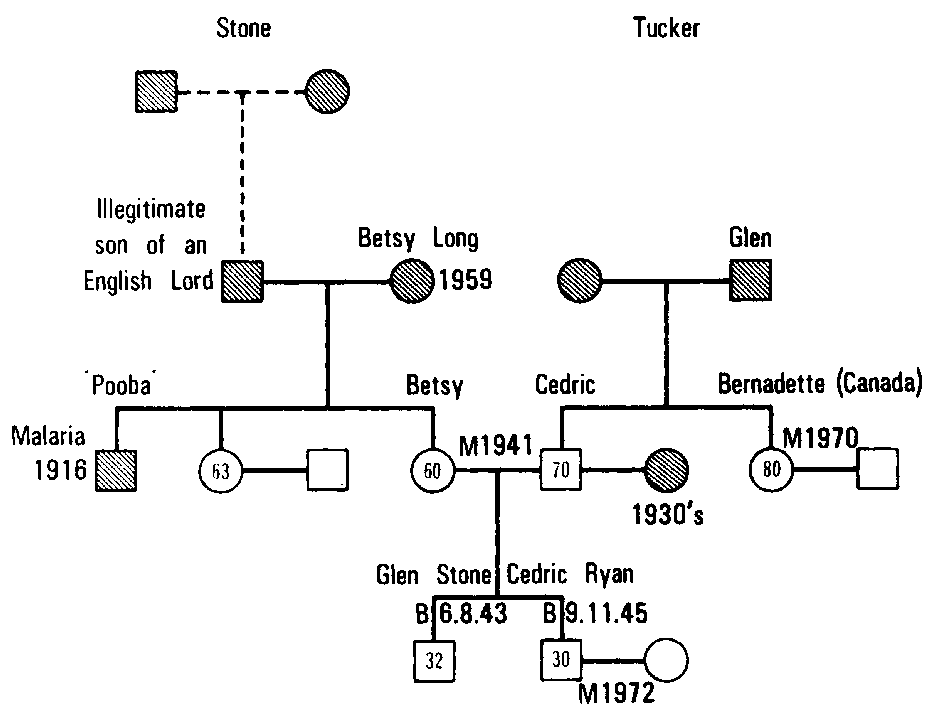 Figure 8.2 Geneogram of the Tucker Family, II