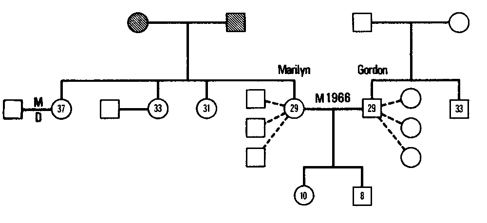 Figure 9.5 Geneogram of the Derdle Family